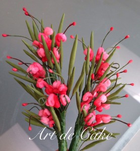 Australian native Grevillea flowers      