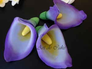 Purple Calla Lilies      