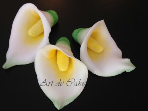 White Calla Lilies       