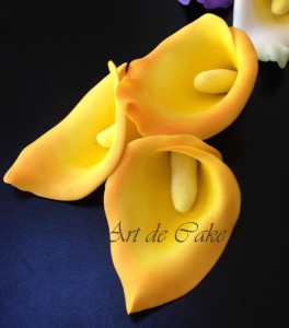 Yellow Calla Lilies       